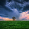Alone in the storm