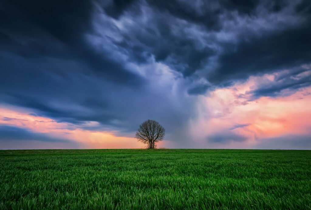 Alone in the storm