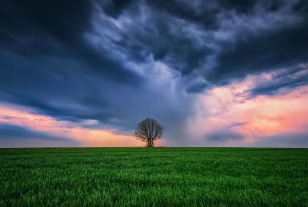 Alone in the storm