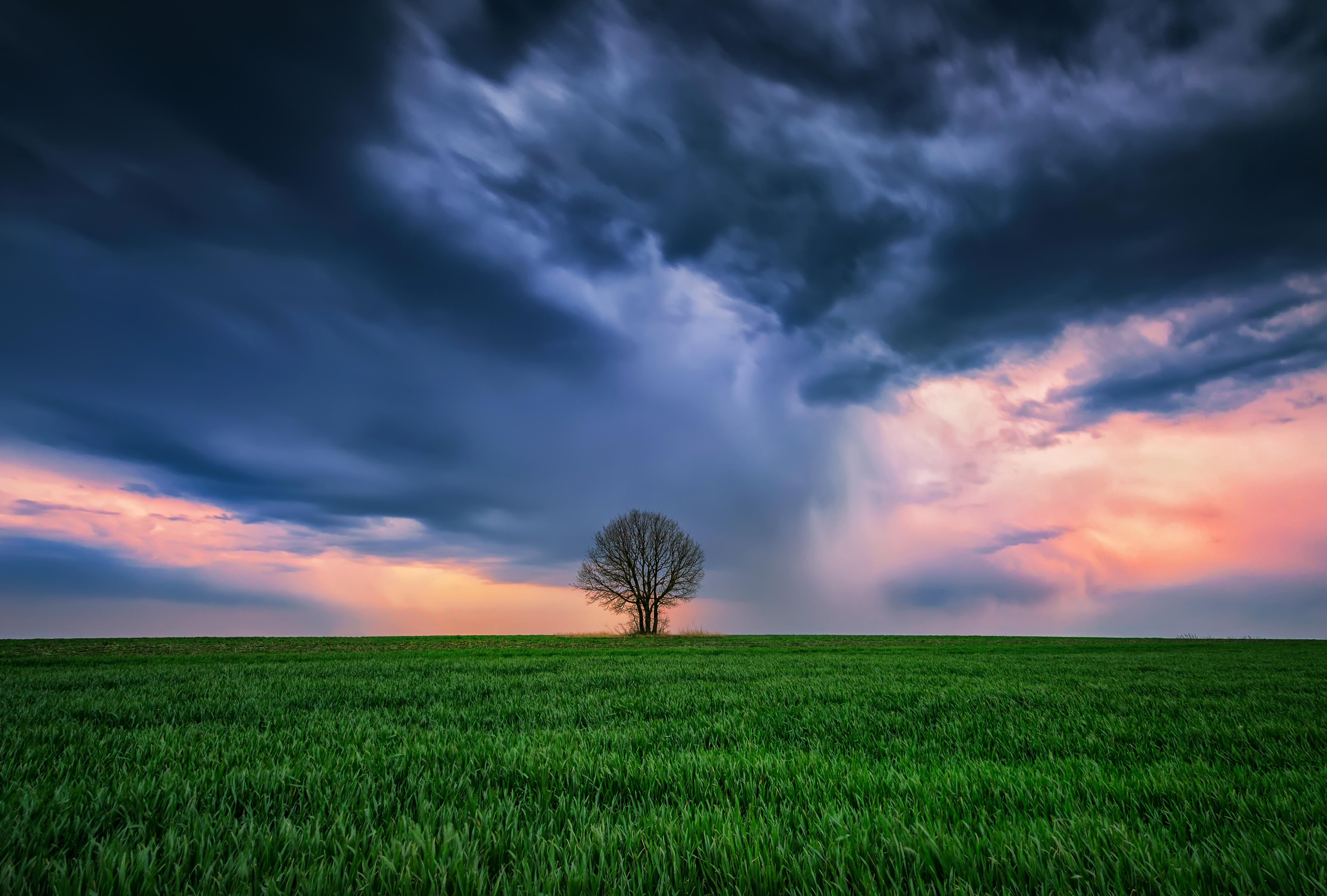 Navigating the Storm